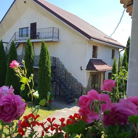Casa Carpati Apartment Zărneşti Екстериор снимка
