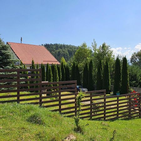 Casa Carpati Apartment Zărneşti Екстериор снимка