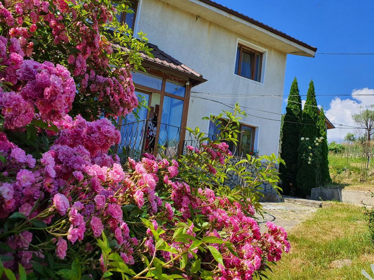 Casa Carpati Apartment Zărneşti Екстериор снимка